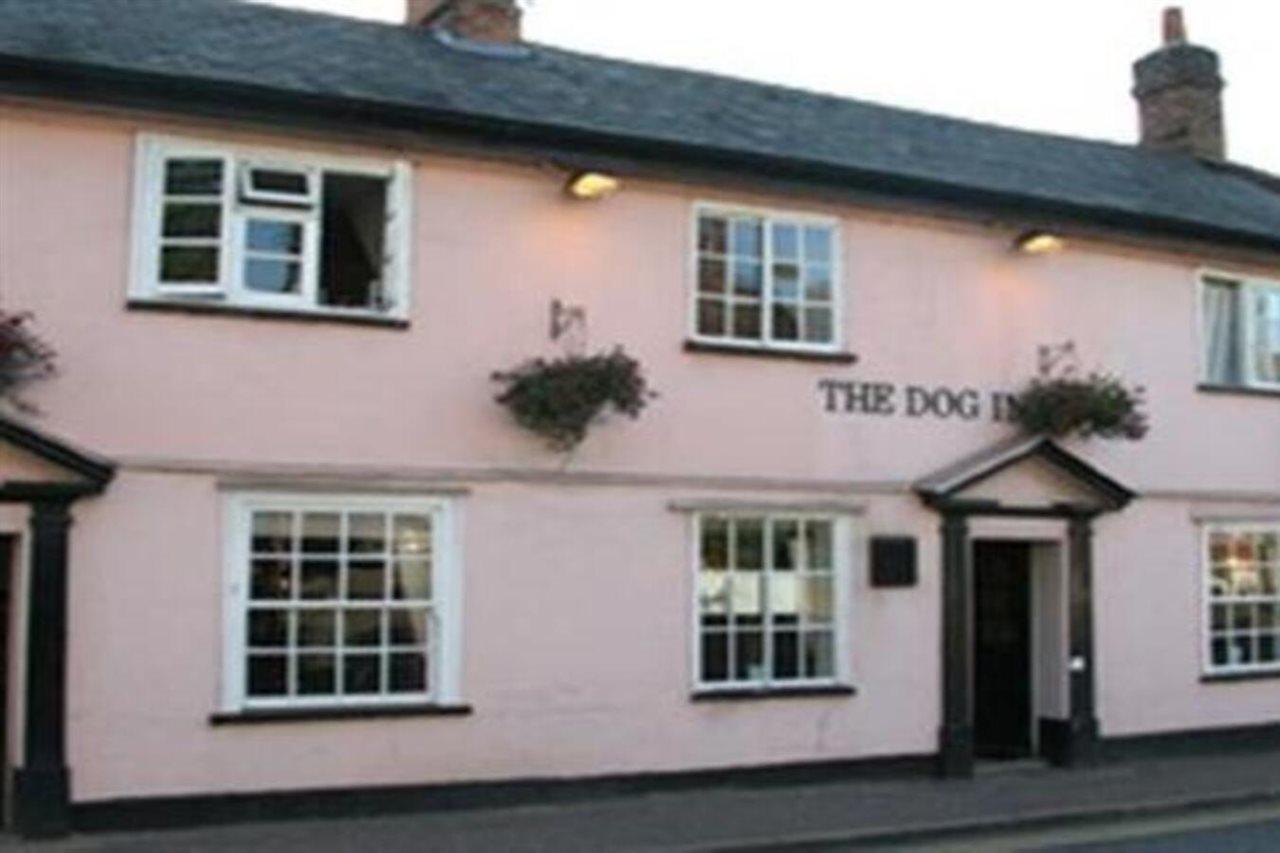 The Dog Inn Halstead  Luaran gambar